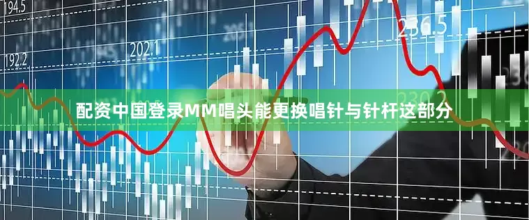 配资中国登录MM唱头能更换唱针与针杆这部分