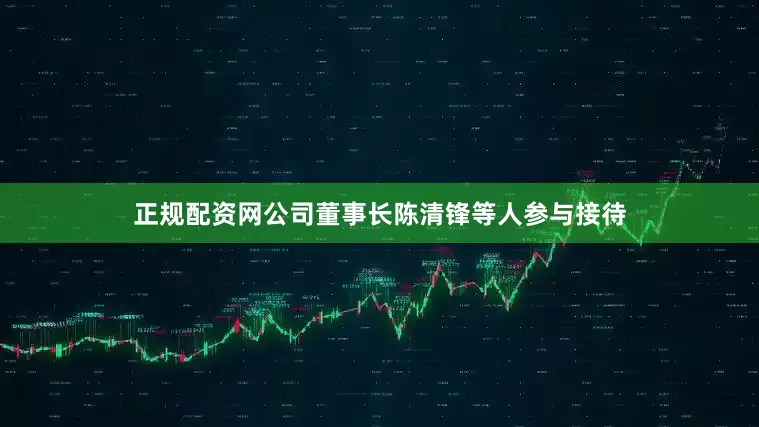 正规配资网公司董事长陈清锋等人参与接待