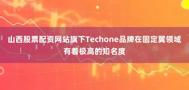 山西股票配资网站旗下Techone品牌在固定翼领域有着极高的知名度