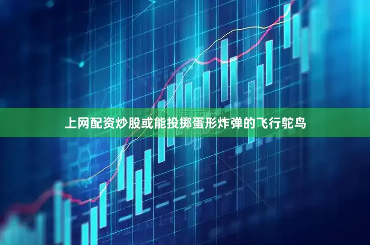 上网配资炒股或能投掷蛋形炸弹的飞行鸵鸟