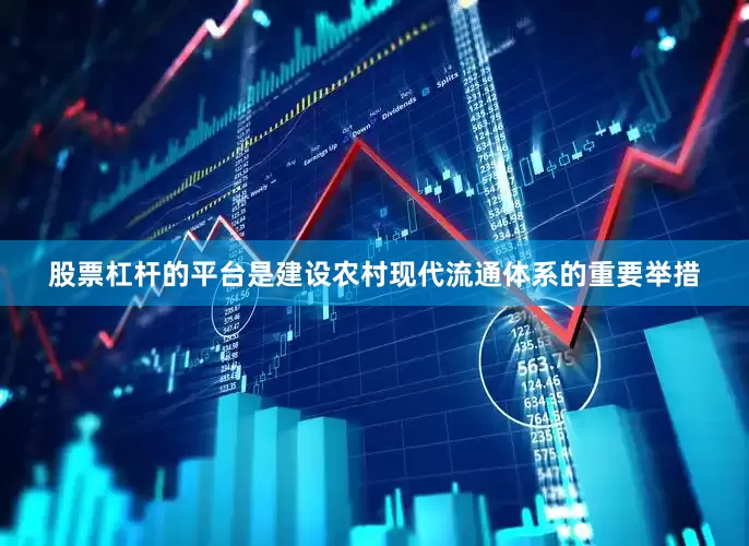 股票杠杆的平台是建设农村现代流通体系的重要举措