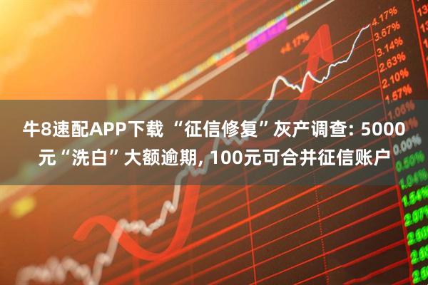 牛8速配APP下载 “征信修复”灰产调查: 5000元“洗白”大额逾期, 100元可合并征信账户