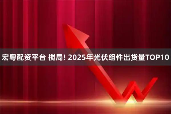 宏粤配资平台 搅局! 2025年光伏组件出货量TOP10